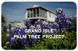 Grand Isle Palm Tree Project